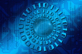 星空体育娱乐-大数据应用助力训练科学管理，大数据在训练管理中的应用