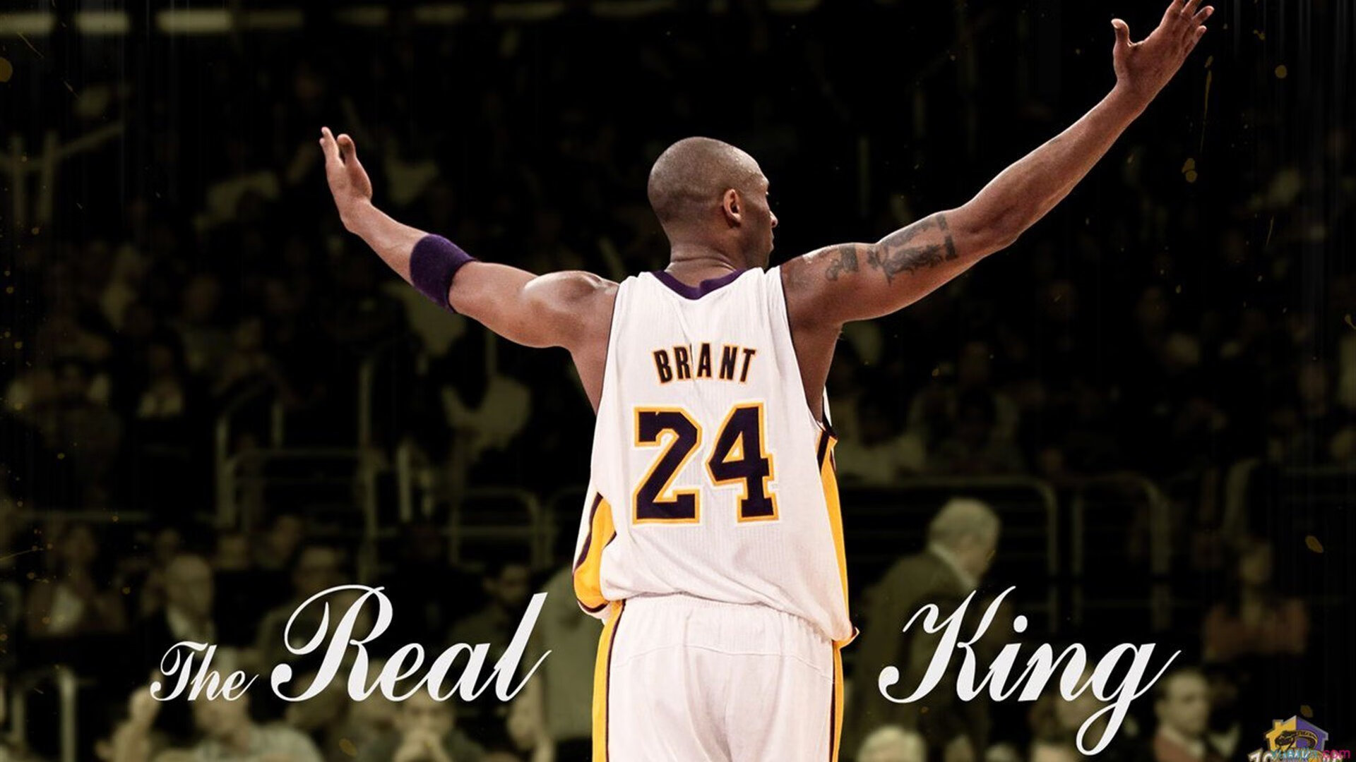 本土球员如何打破角色球员的标签，本土球员如何打破角色球员的标签视频