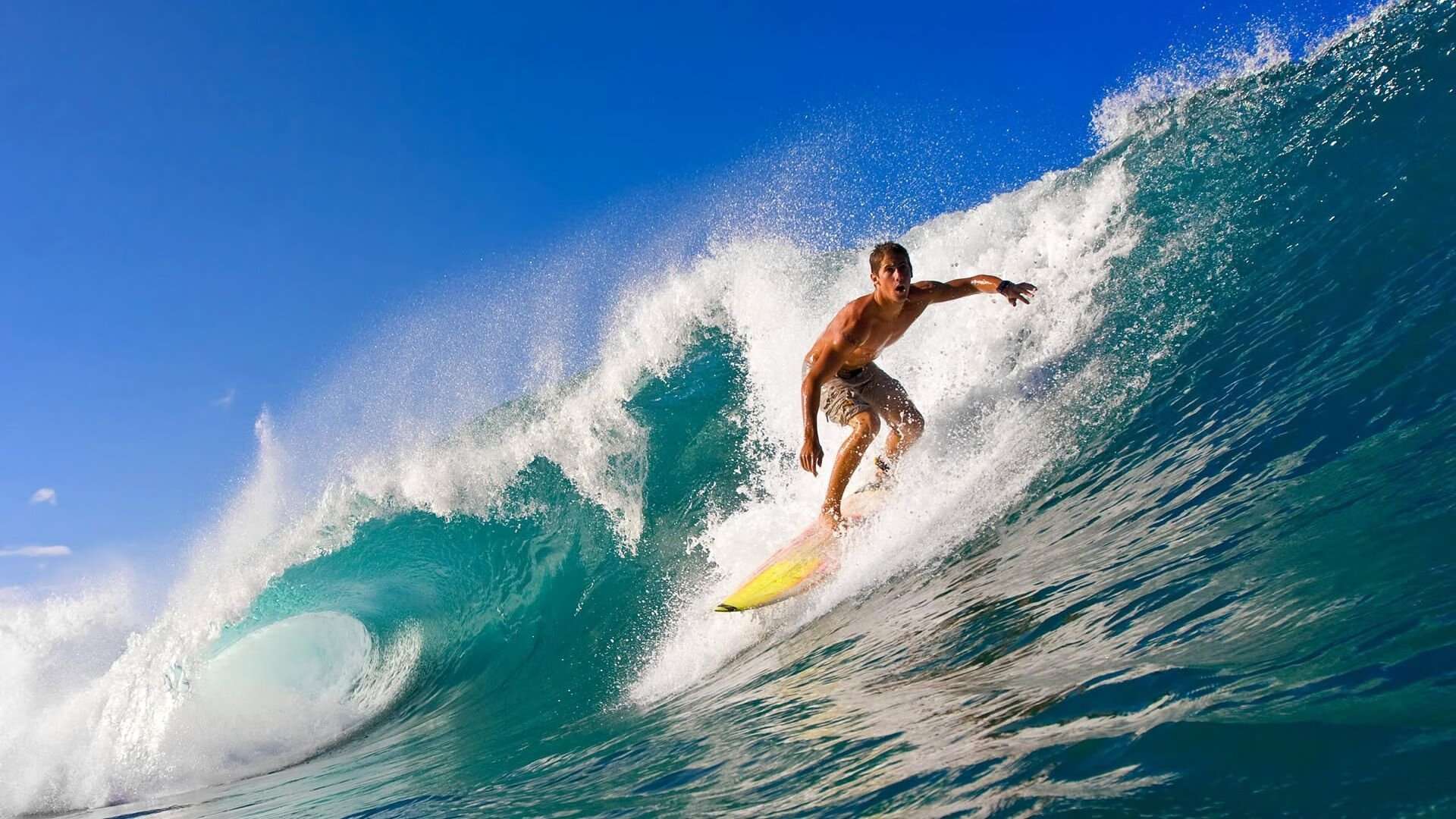 星空体育娱乐-德甲速度狂飙：攻守转换如行云流水！，德甲最快进球纪录