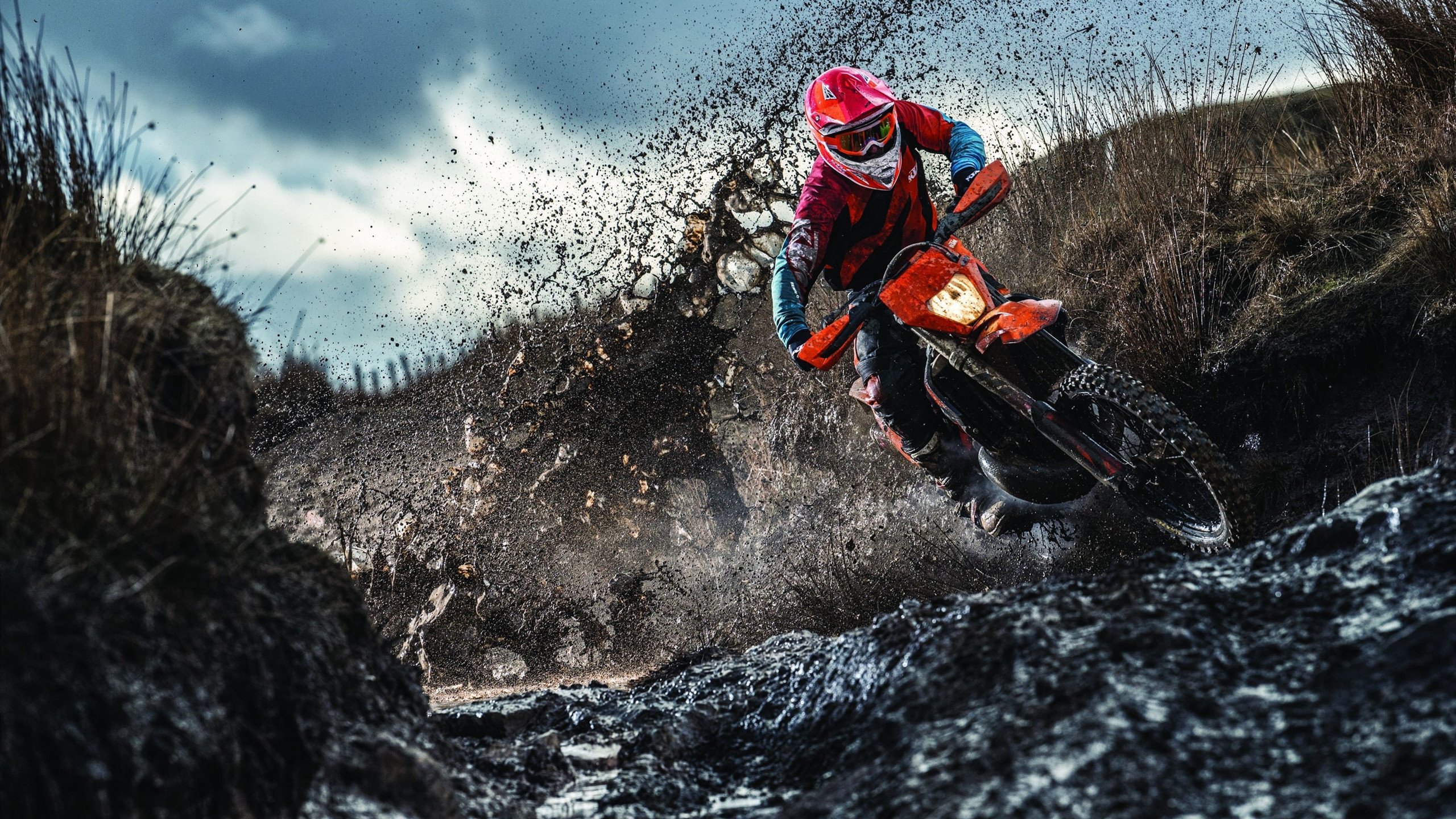 主播与职业战队合作模式日渐成熟,职业队和主播大神区别